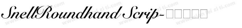 SnellRoundhand Scrip字体转换